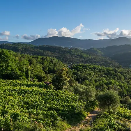 Maddalena - Cerrolungo Venkovský dům Isola (Liguria)